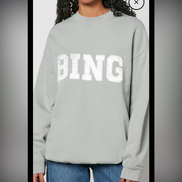 Anine Bing Tyler Satin Bing Sweatshirt in Sage - Picture 2 of 11